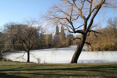 central-park-new-york-winter-1211930.jpg