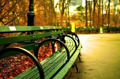 central-park-new-york-city-benches-535645.jpg