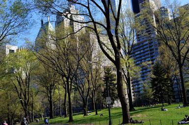 central-park-newyork-green-holidays-667999.jpg