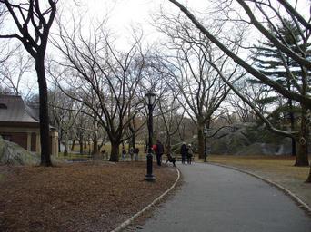 central-park-new-york-manhattan-206134.jpg