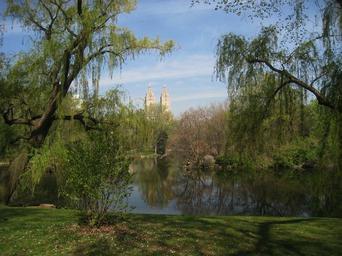 Central-Park-Pond-New-York.jpg