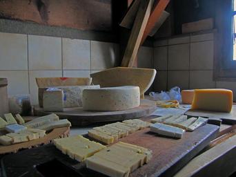 cheese-cheese-shop-alp-542776.jpg