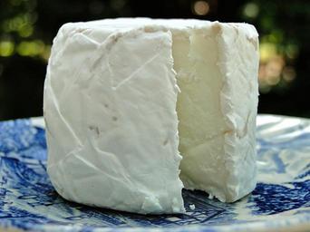 cheese-goat-cheese-rind-round-567367.jpg