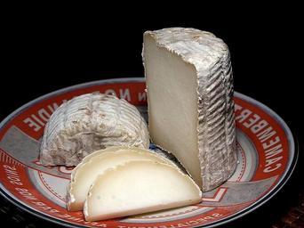Tronchetto cheese.jpg