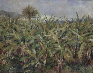 Auguste_Renoir_-_Field_of_Banana_Trees_-_Google_Art_Project.jpg