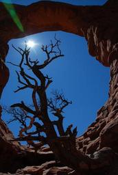 arches-national-park-nature-outdoors-1237088.jpg