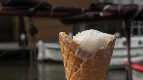 ice-cream-ice-cream-cone-ice-enjoy-442261.jpg