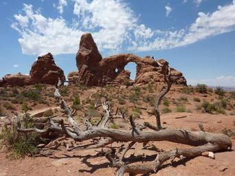arches-arches-national-park-arch-226242.jpg
