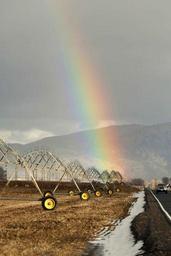 Rainbow arches over the irrigation wheel line.jpg