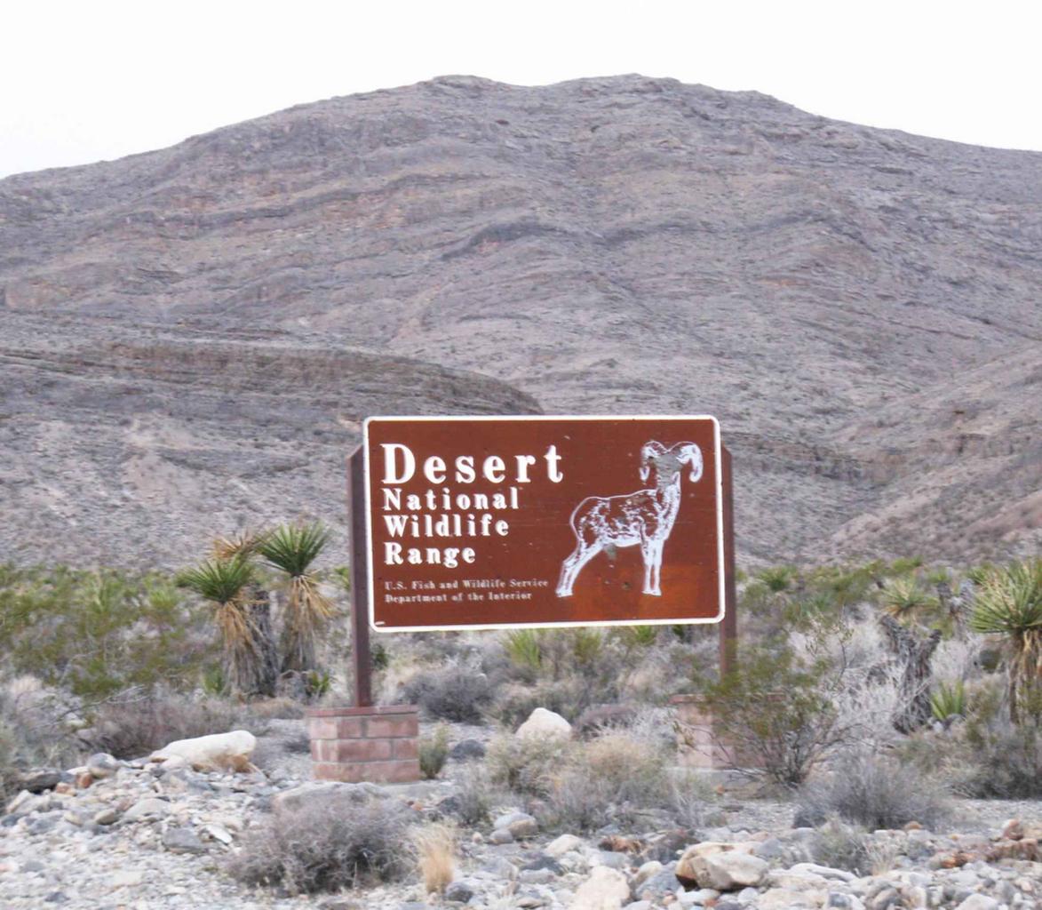 Free Images - desert national wildlife refuge