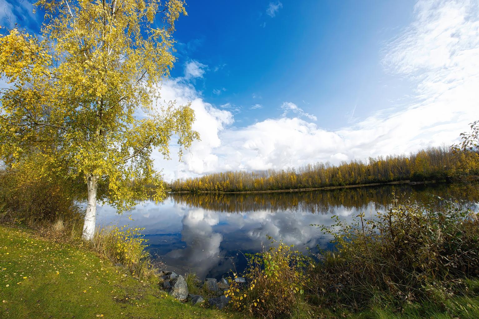 Free Images - Cheney Lake In Fall