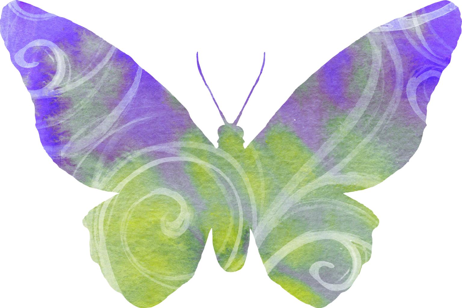 Фиолетово зеленая бабочка