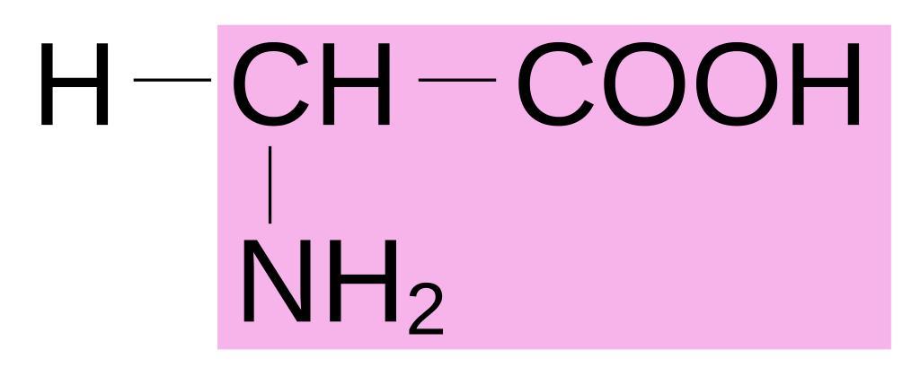 Соон -СН(nh2)-соон. СН - соон nh2 Ch. Nh2-Ch-Cooh. Nh2 группа.