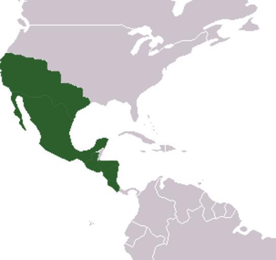 Free Images First Mexican Empire Map 7018