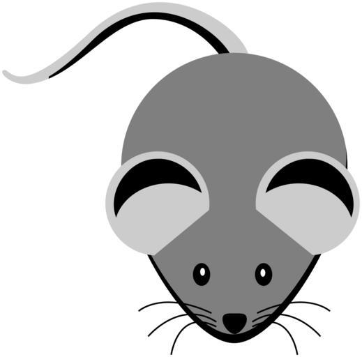 Free Images - mouse ears tail nose