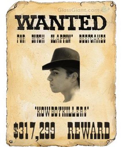 Wanted плакат. Wanted плакат на русском. Картинг плакат wanted. Плакат вантед с Нагетсом ковбоем. Www wanted com