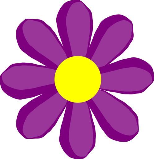 Free Images - flower purple daisy plant