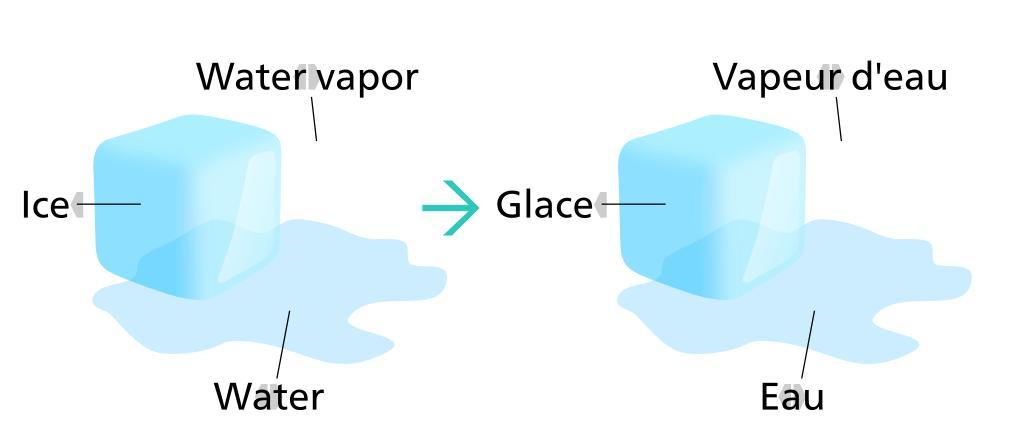 Svg example. Svg file examples. Svg best examples.