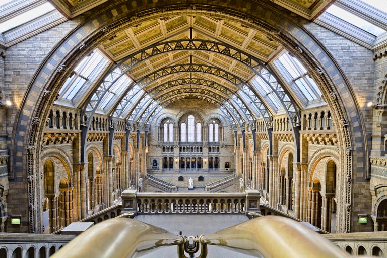Free Images - natural history museum hdr