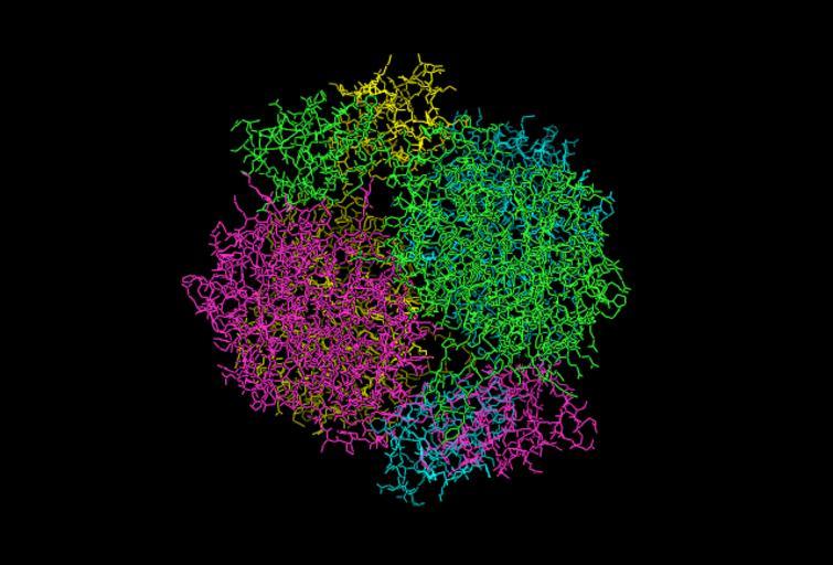 Free Images - dahp synthase quarternary structure