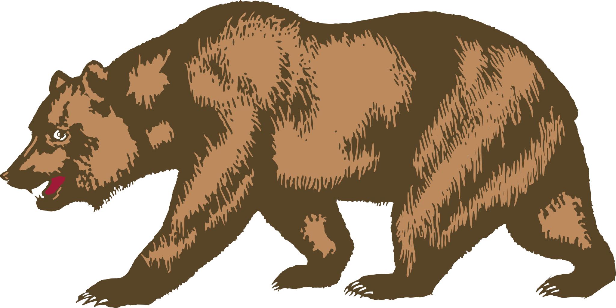 Бурый медведь на прозрачном фоне