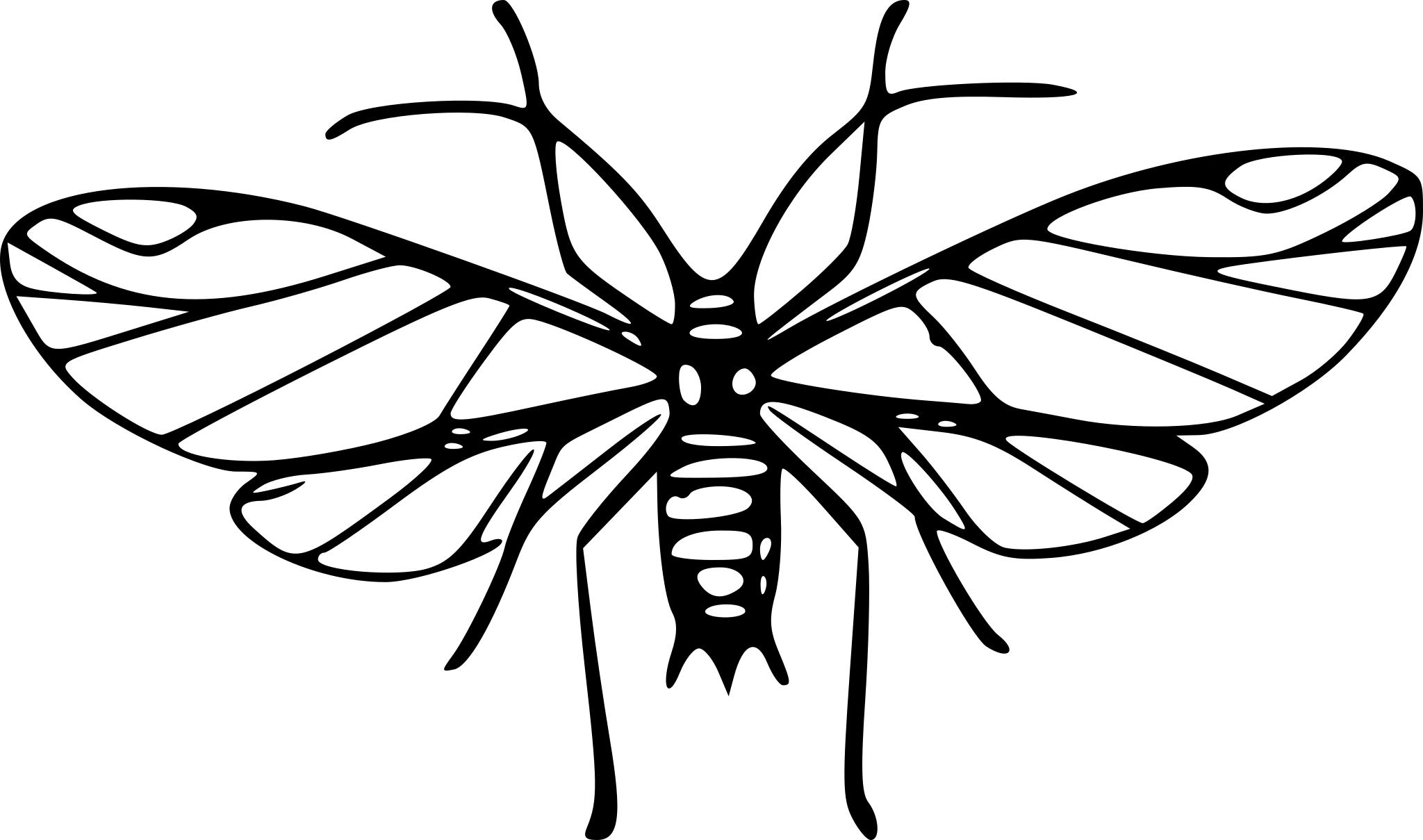 Стикеры Крылья насекомых черно белые