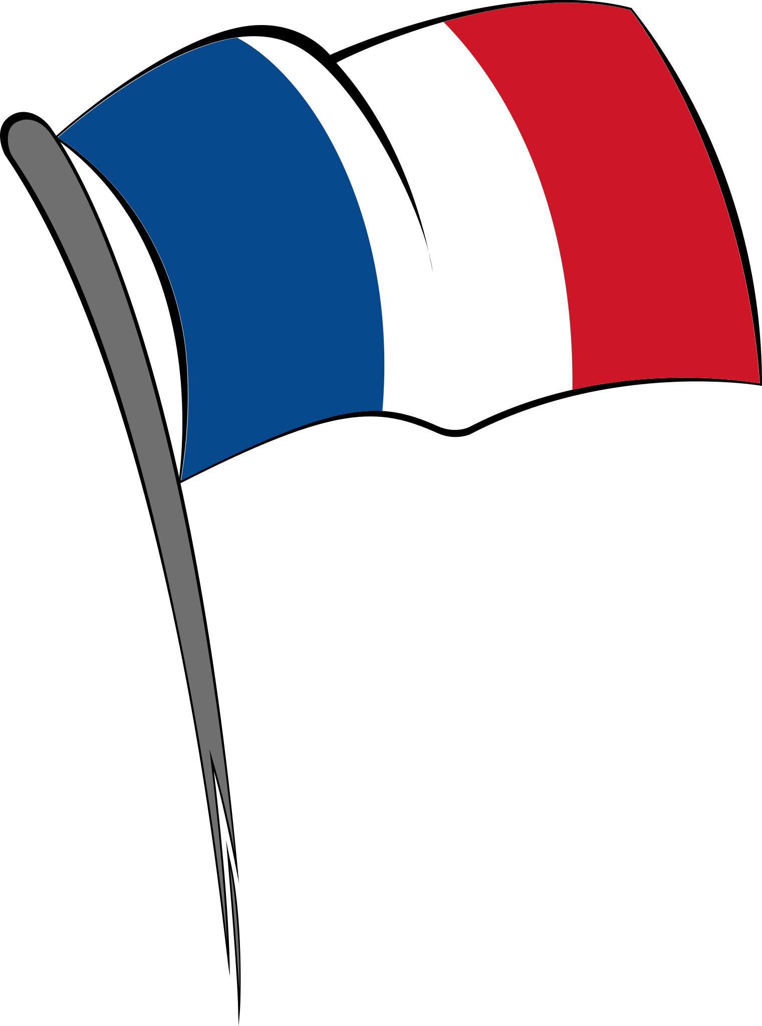 Французский флажок