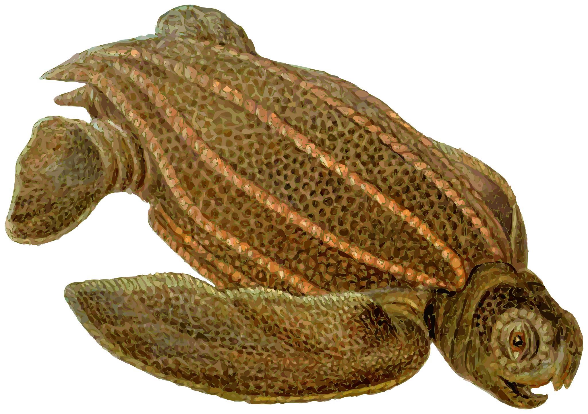 Морская черепаха Архелон