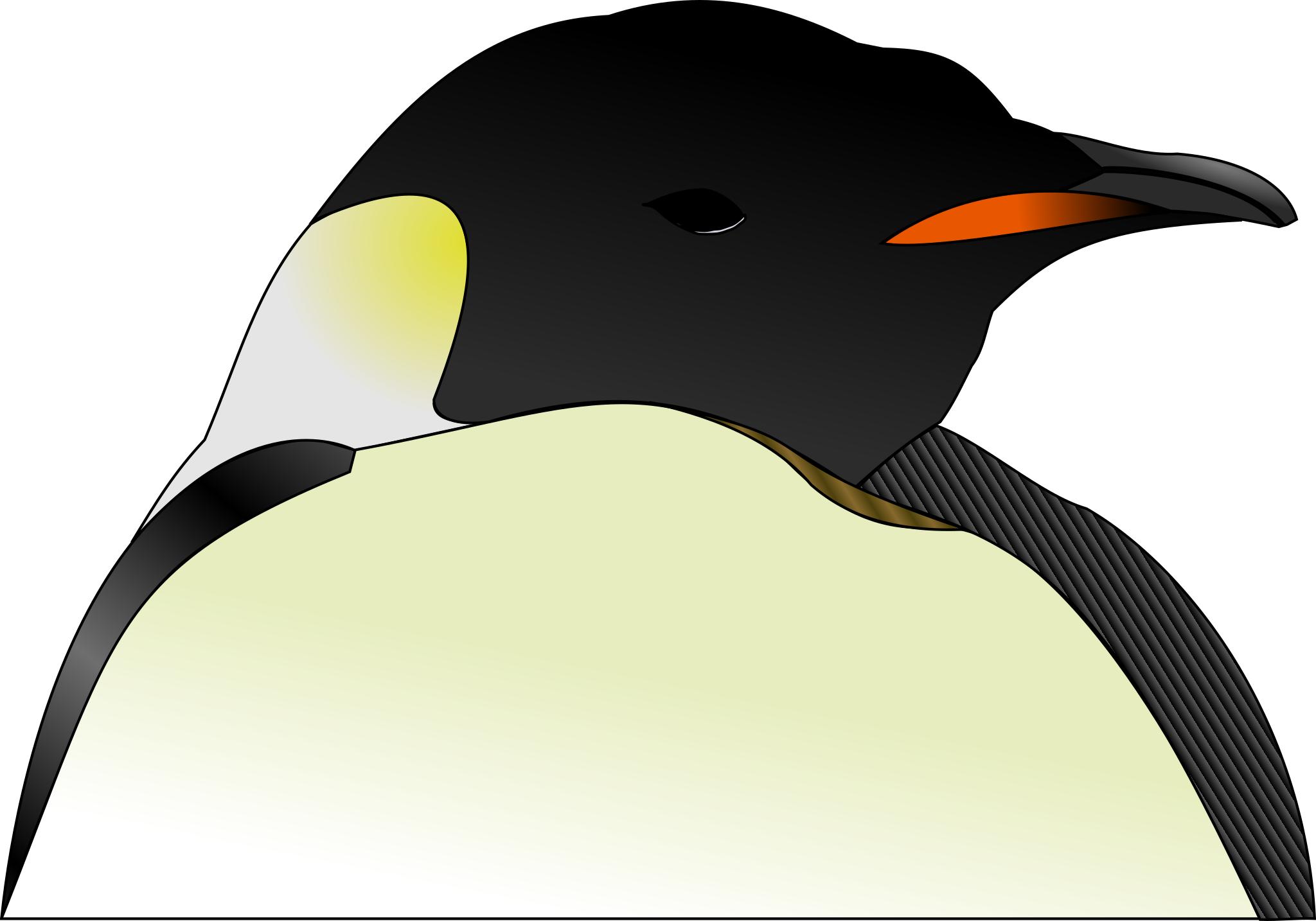 Голова пингвина