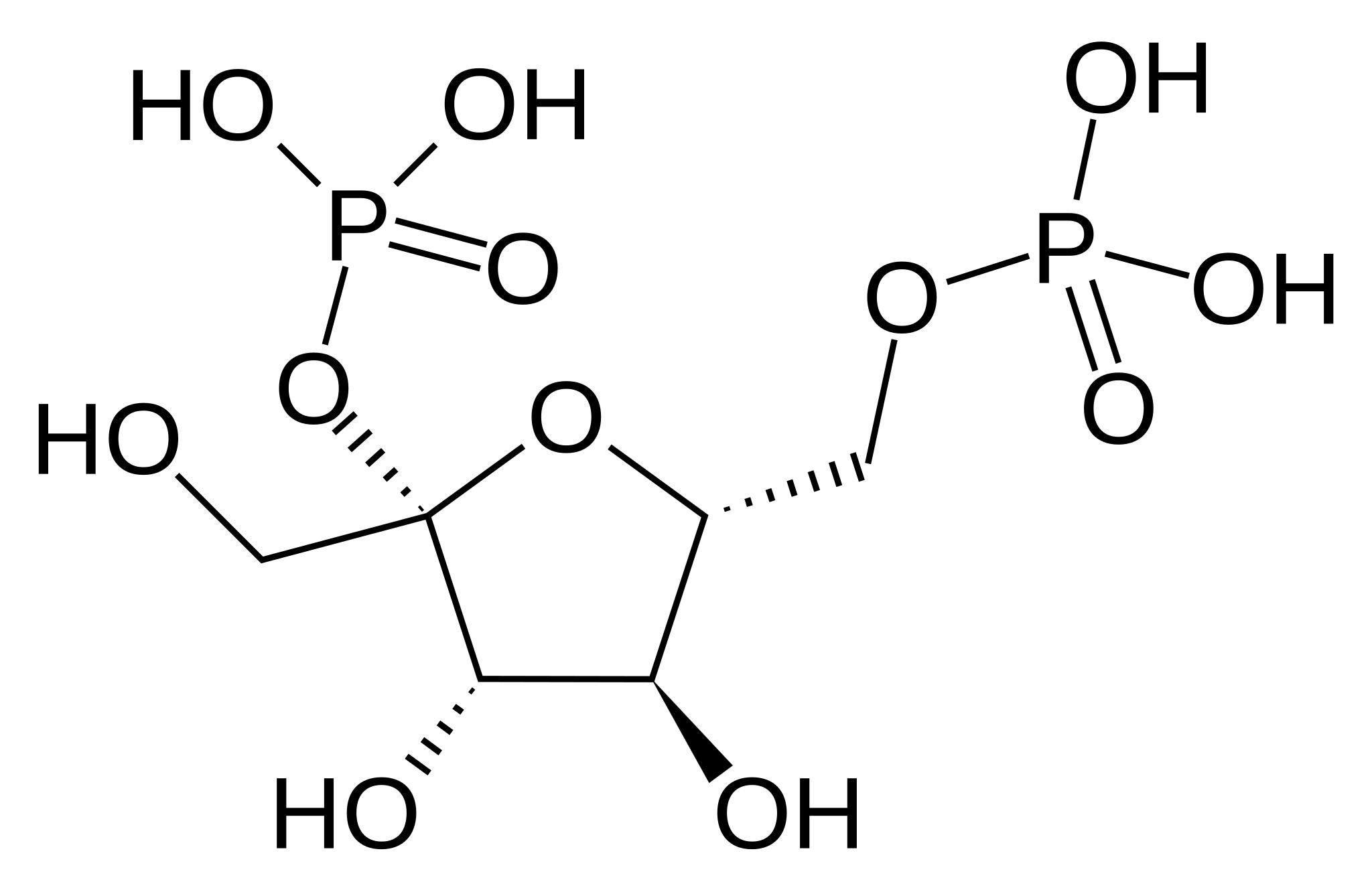 Фруктозо 2 6 бисфосфат