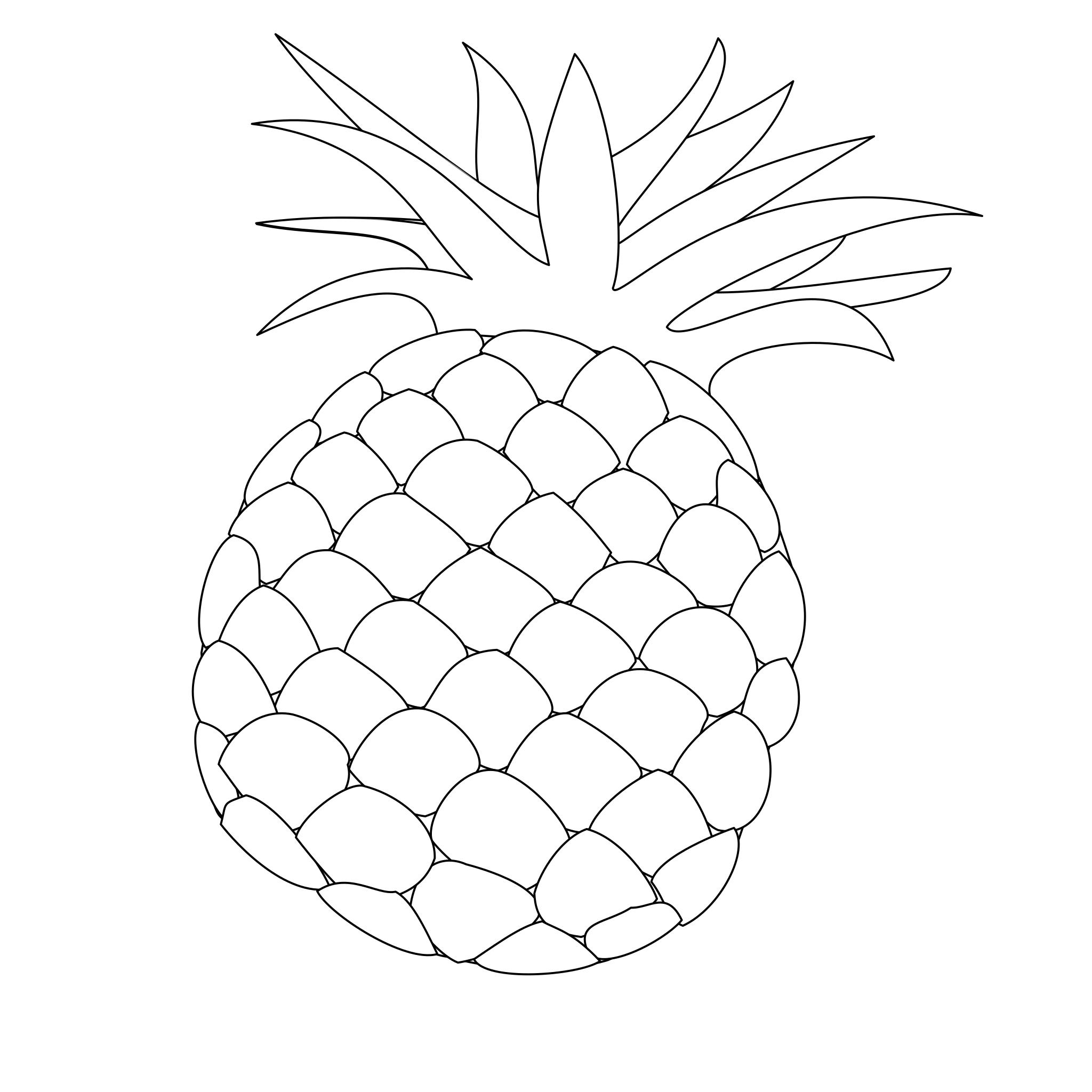 Рисунок фруктов карандашом