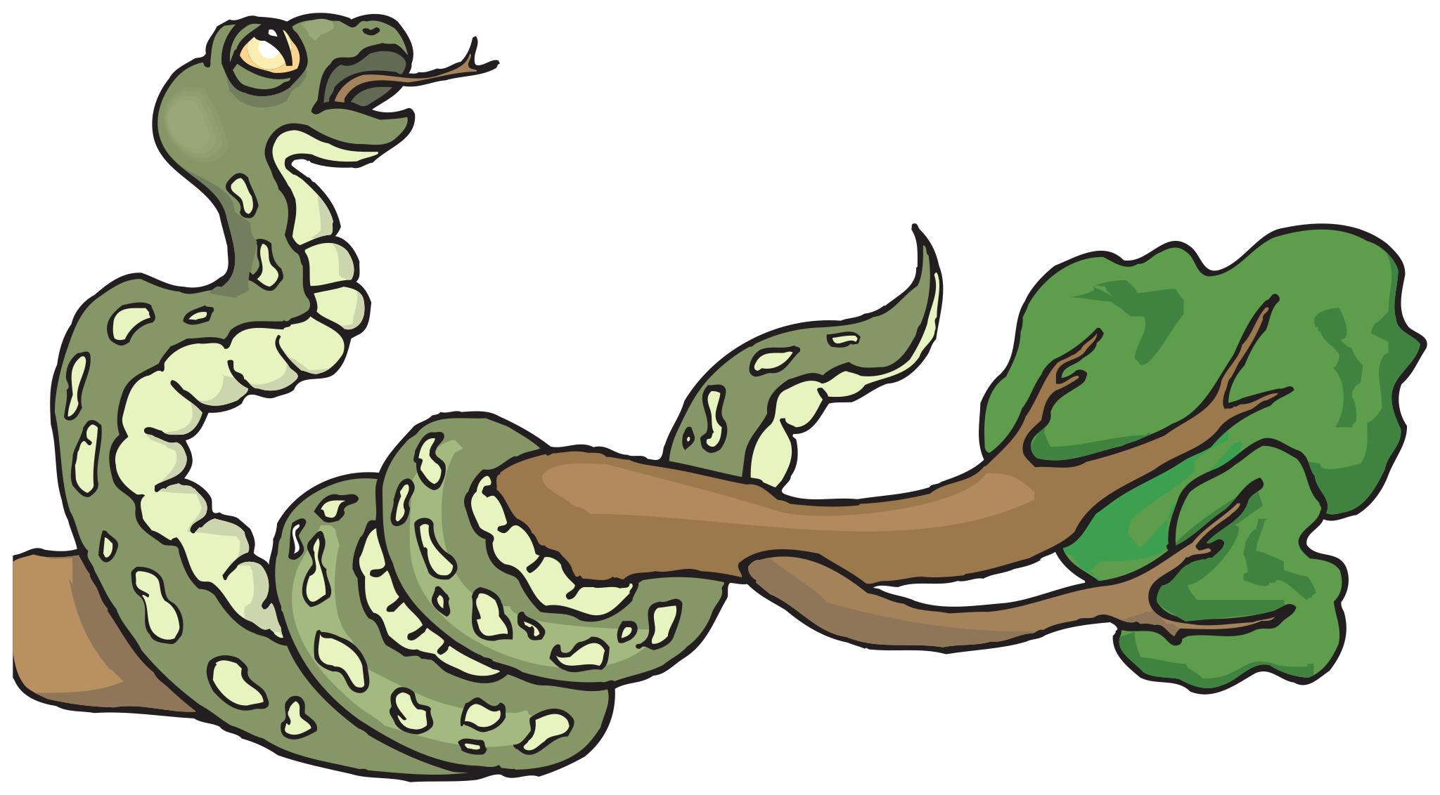 Отношения между змеей и змеей. Змеи для детей. Змея клипарт. Змеи клипарт. Змея картинка для детей.