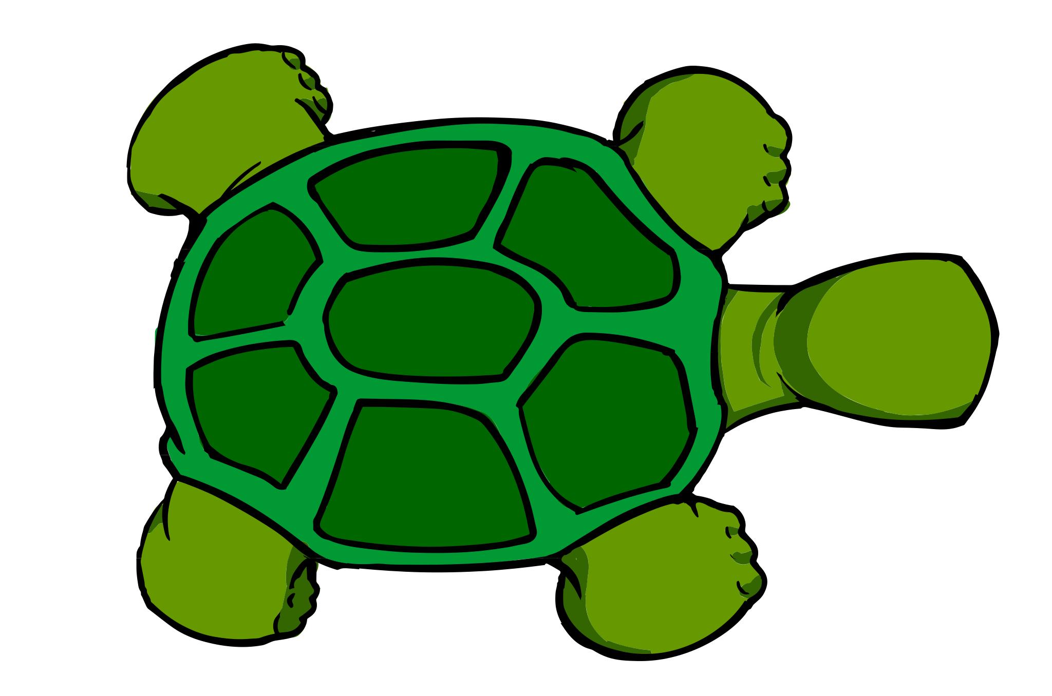 Рисунок черепахи для детей 1 класса