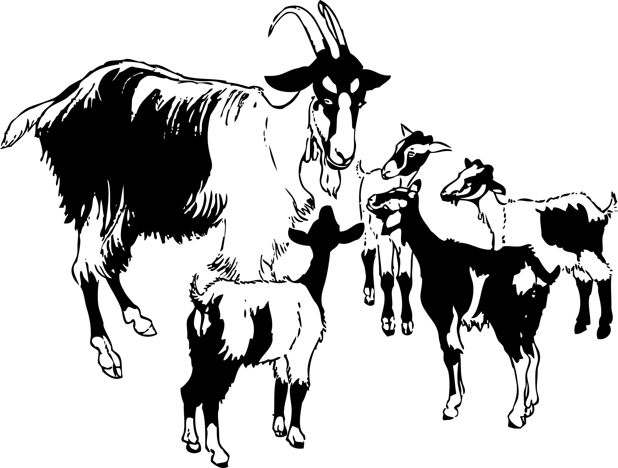 Нубийская коза вектор