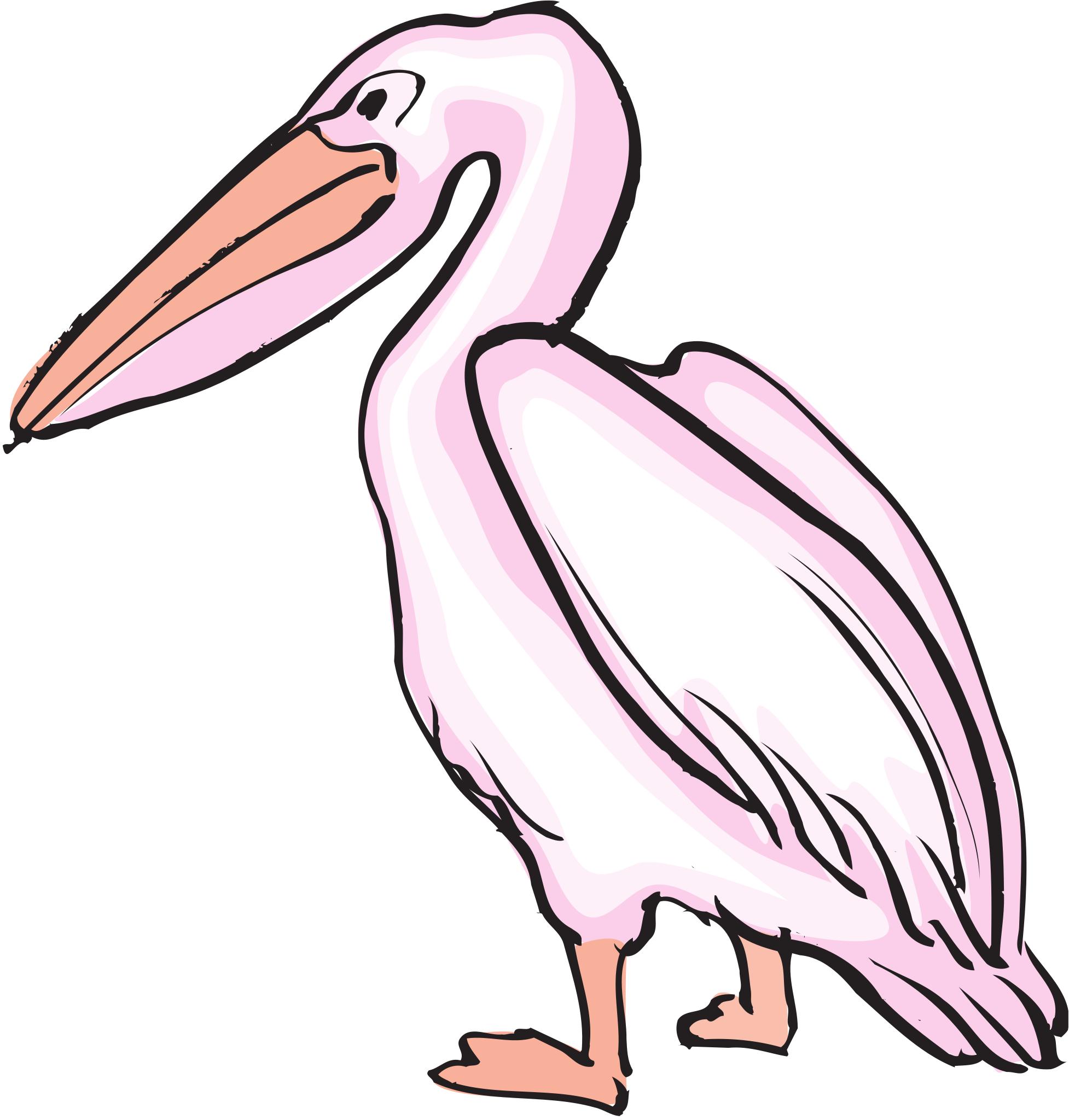 Нарисовать пеликана