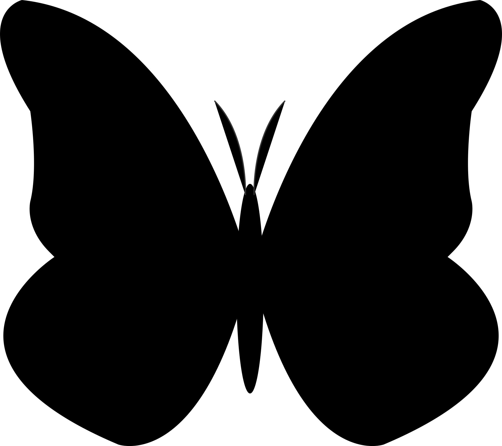 Чёрные бабочки картинки
