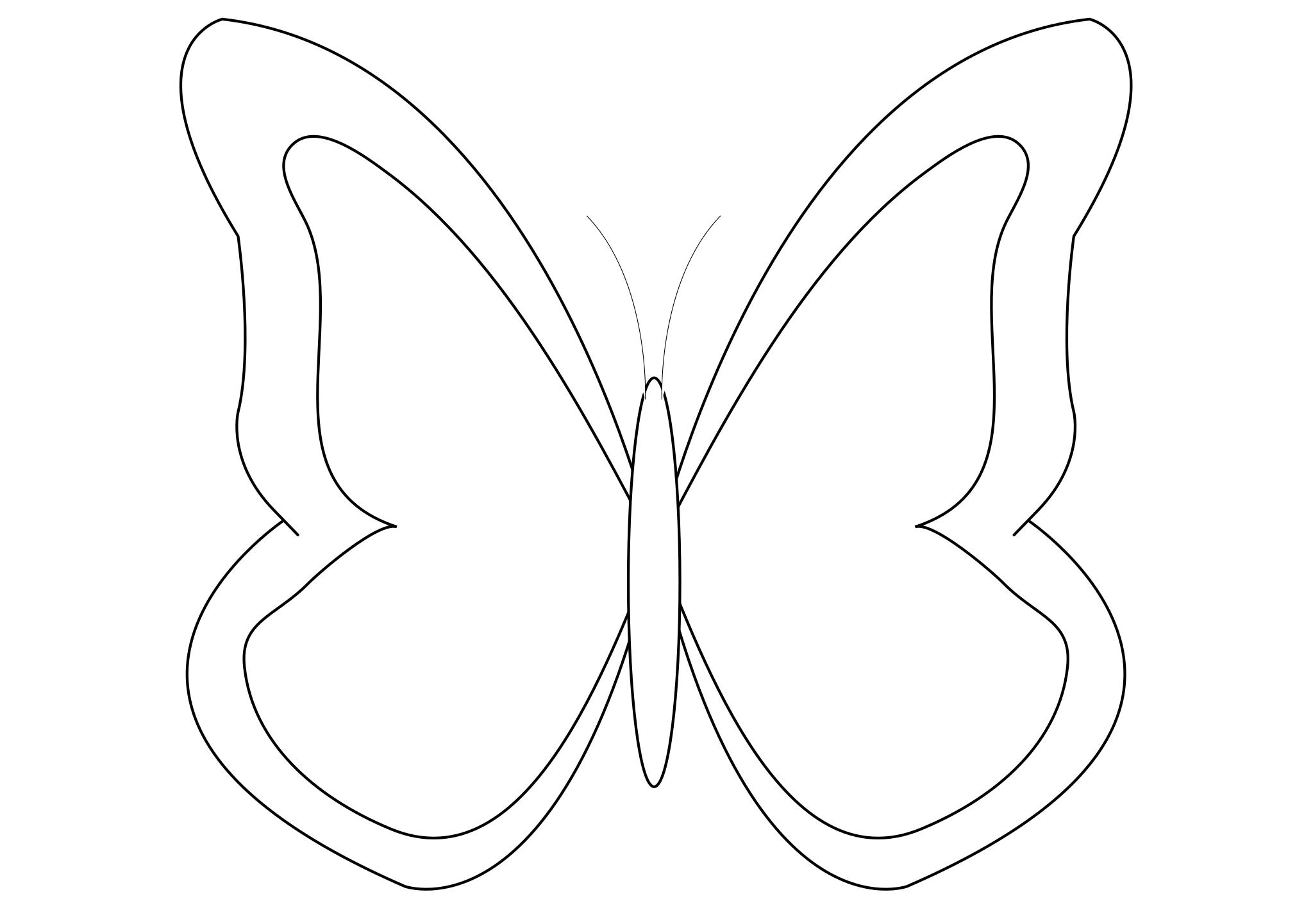 Макет бабочки для вырезания