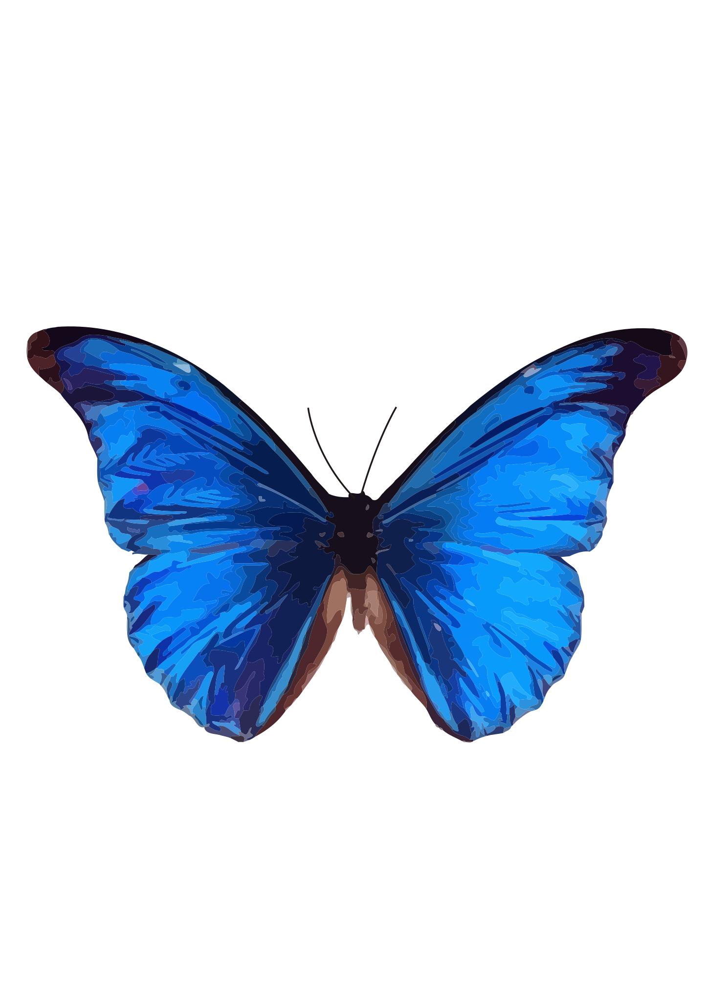 Бабочки сиренево голубые на белом фоне
