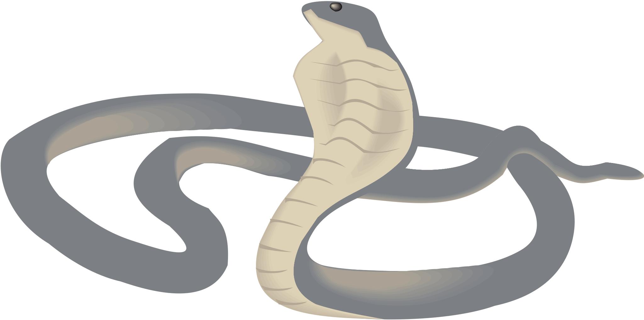 Змея на белом фоне нарисованная