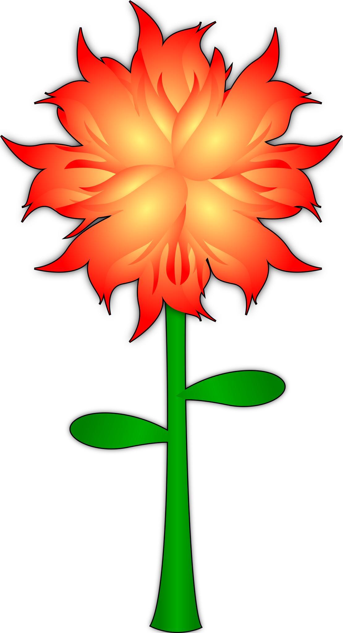 Огненный цветок растение