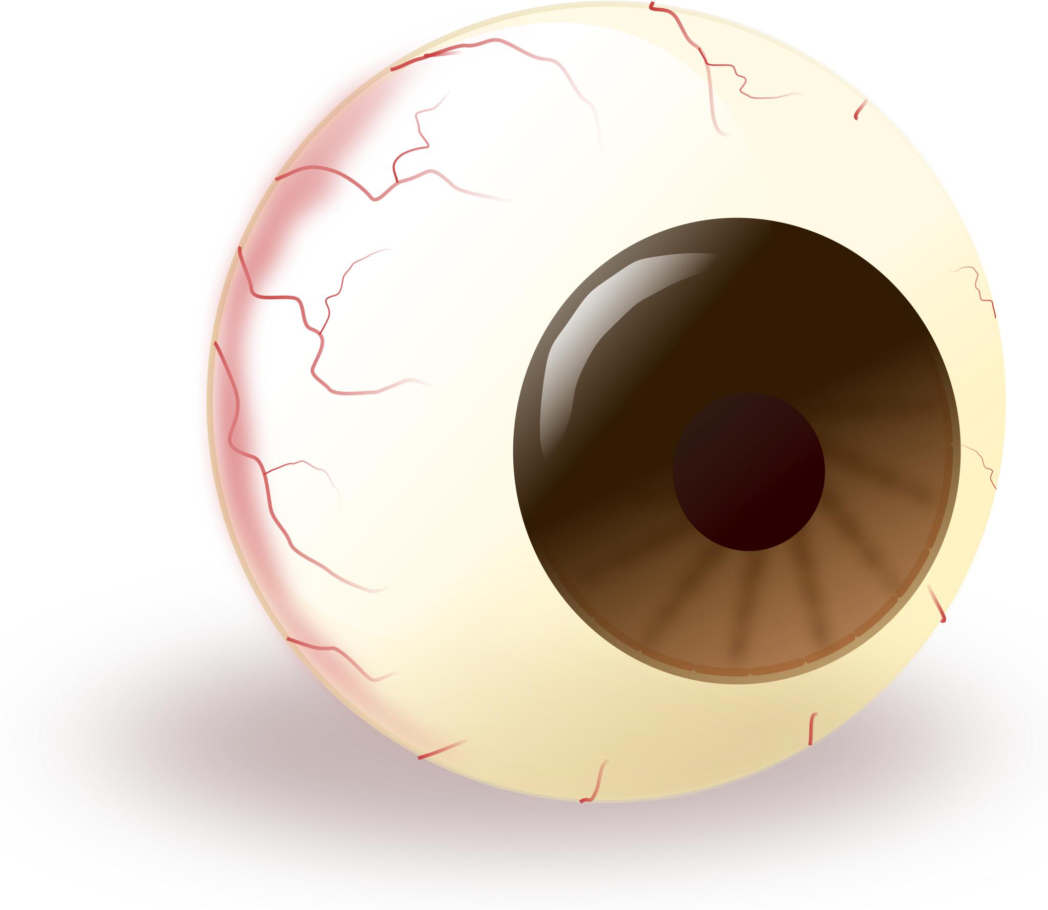 Глазное яблоко вектор