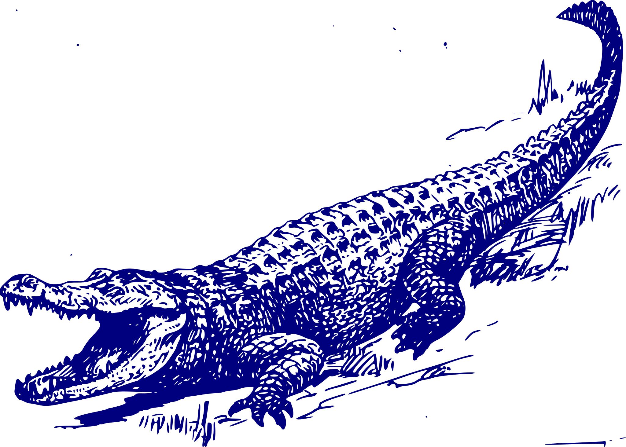Узор крокодил