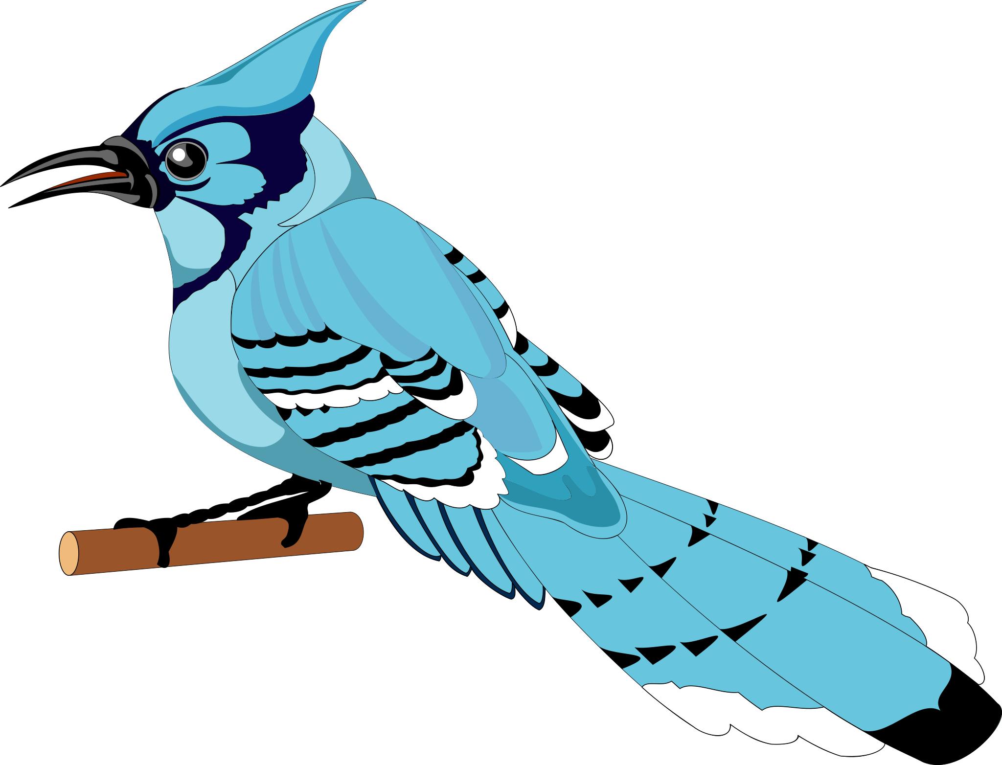 Синяя птичка на прозрачном фоне