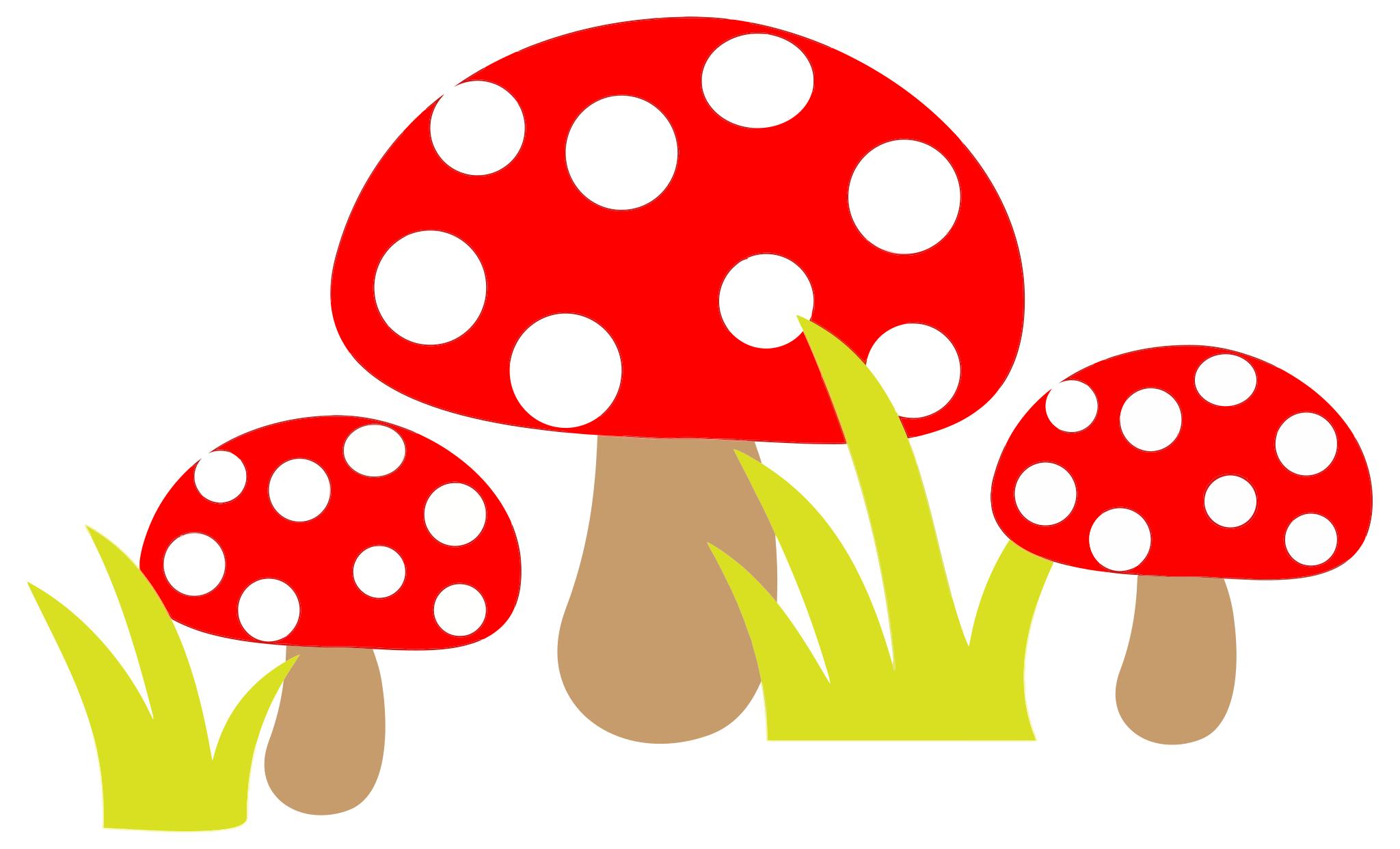 Пластилиновые заплатки грибы