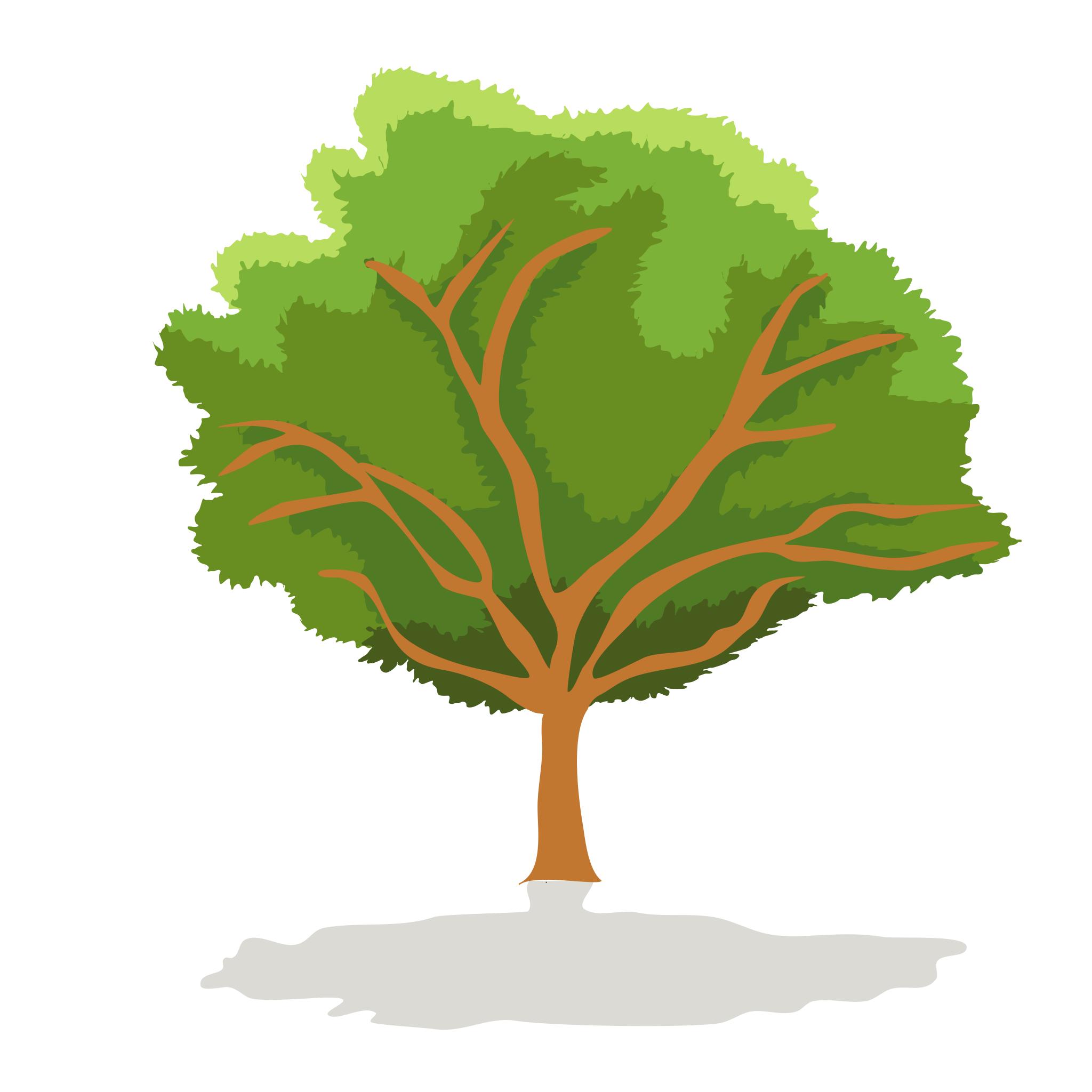 Зеленое дерево вектор