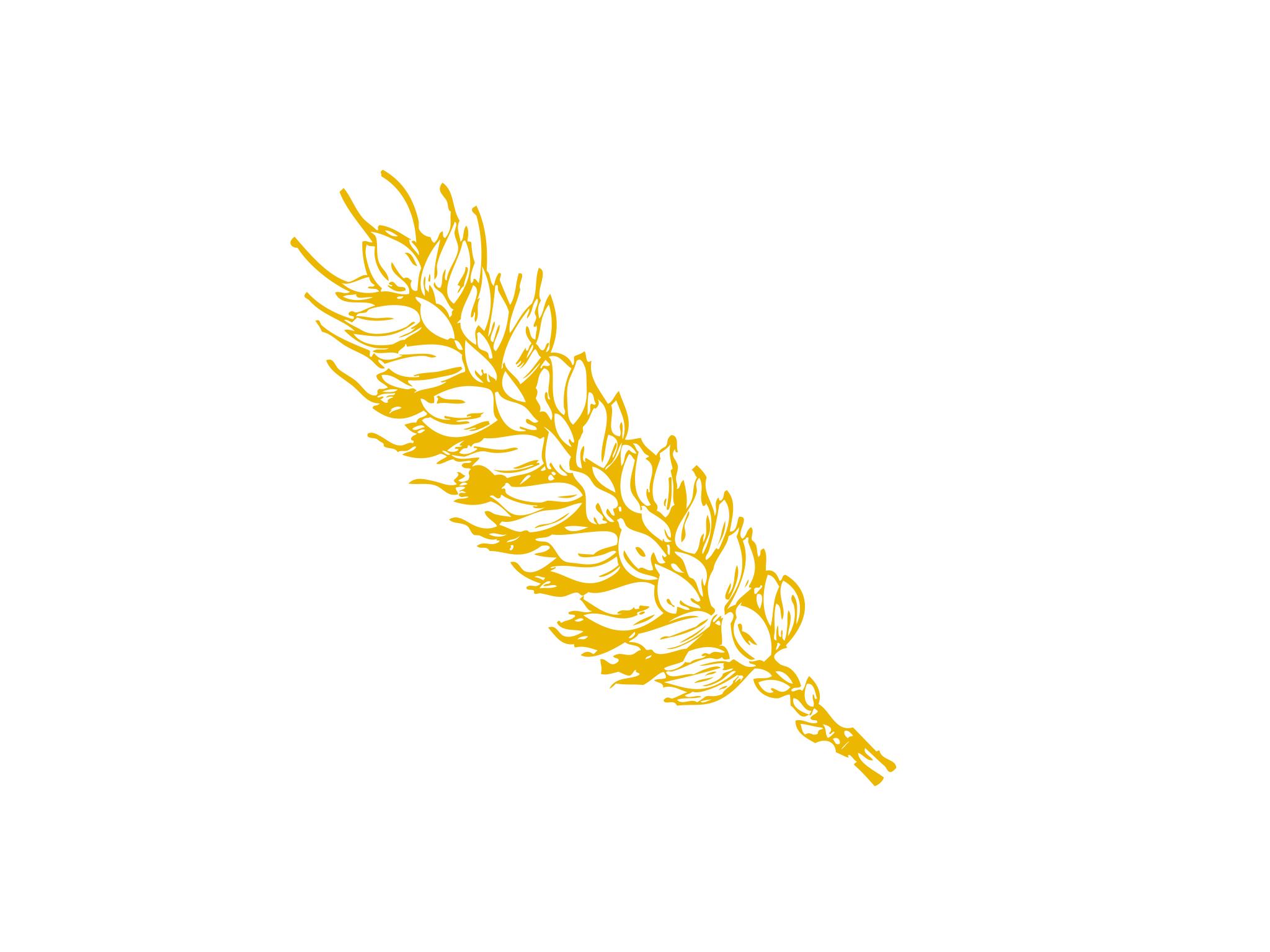 Веточка пшеницы