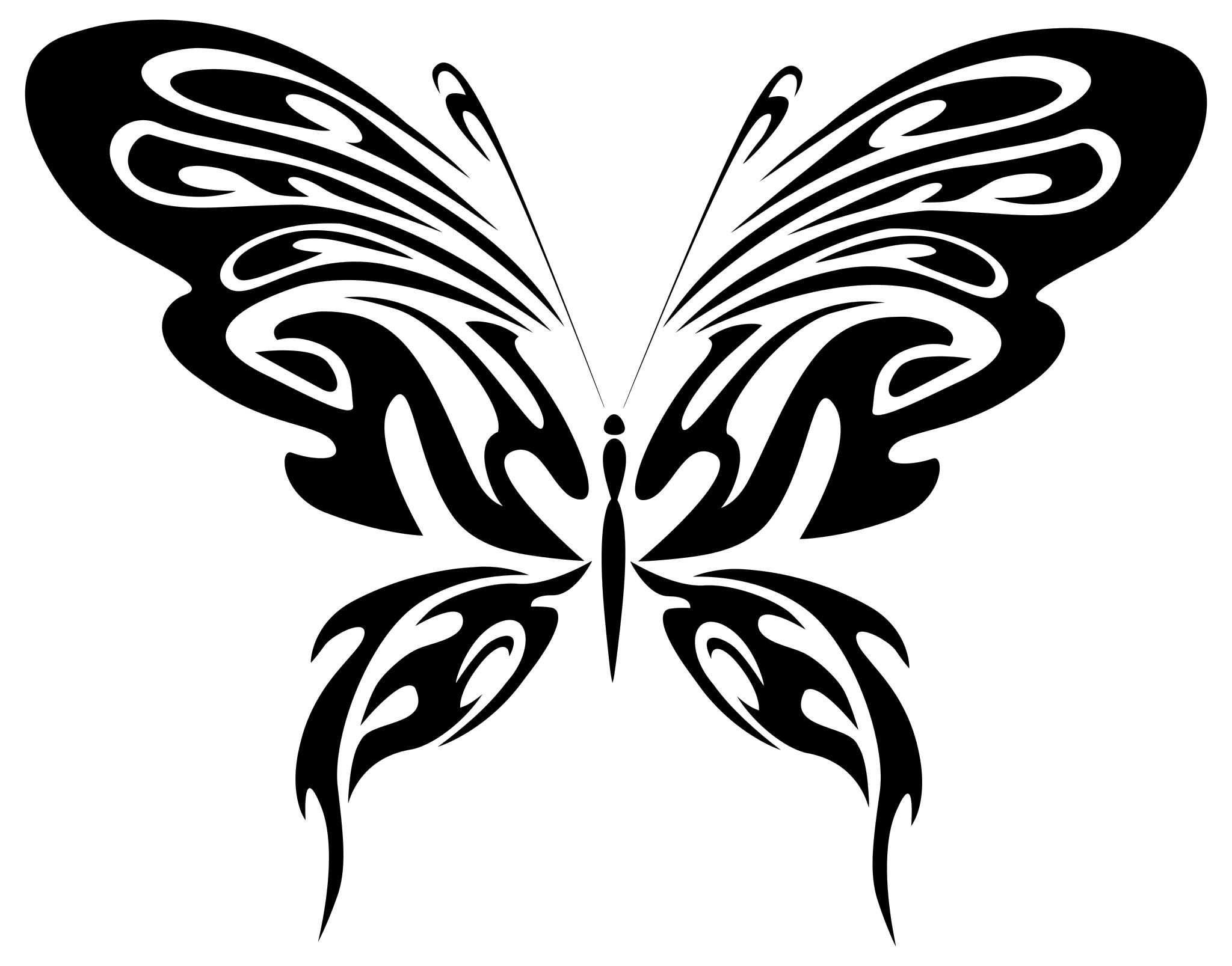 Векторное изображение бабочки