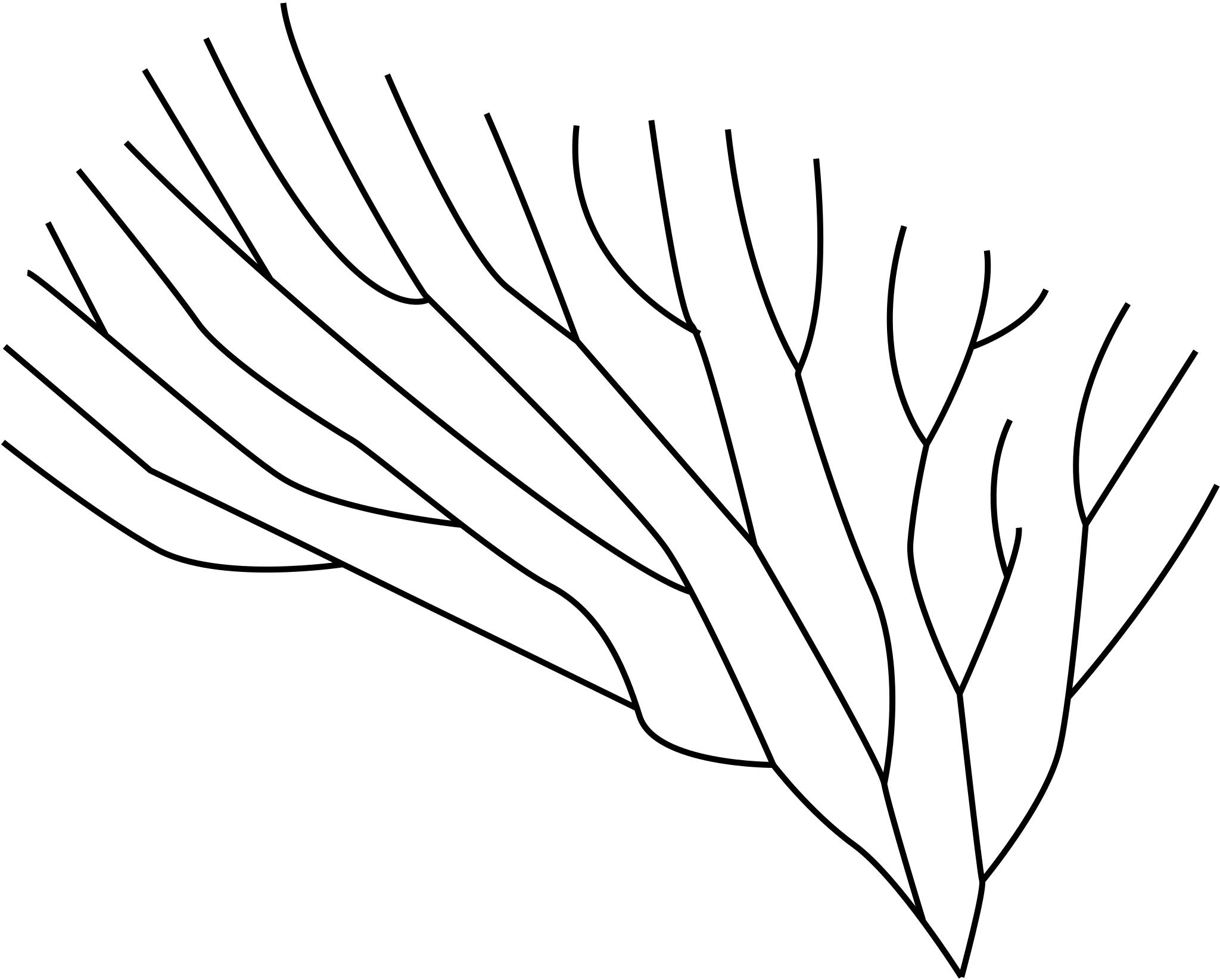 Ветка с листьями контур