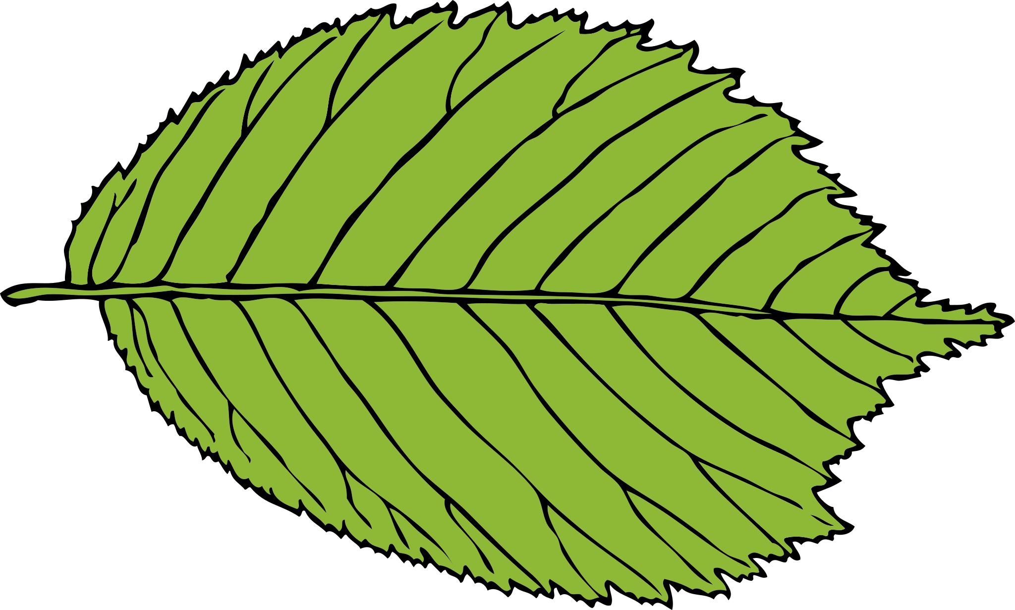 картинки мультяшных листьев