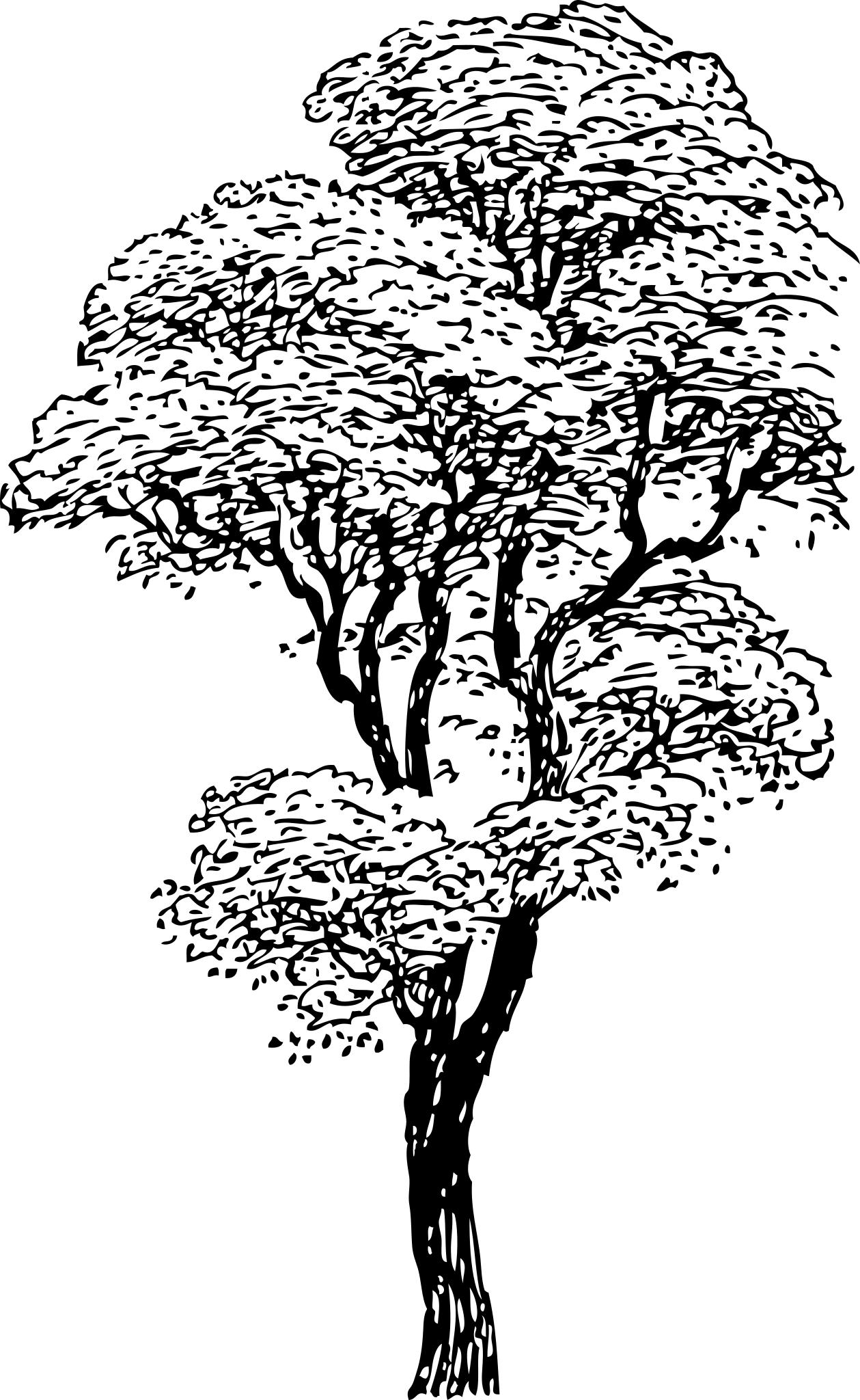 Графическое дерево